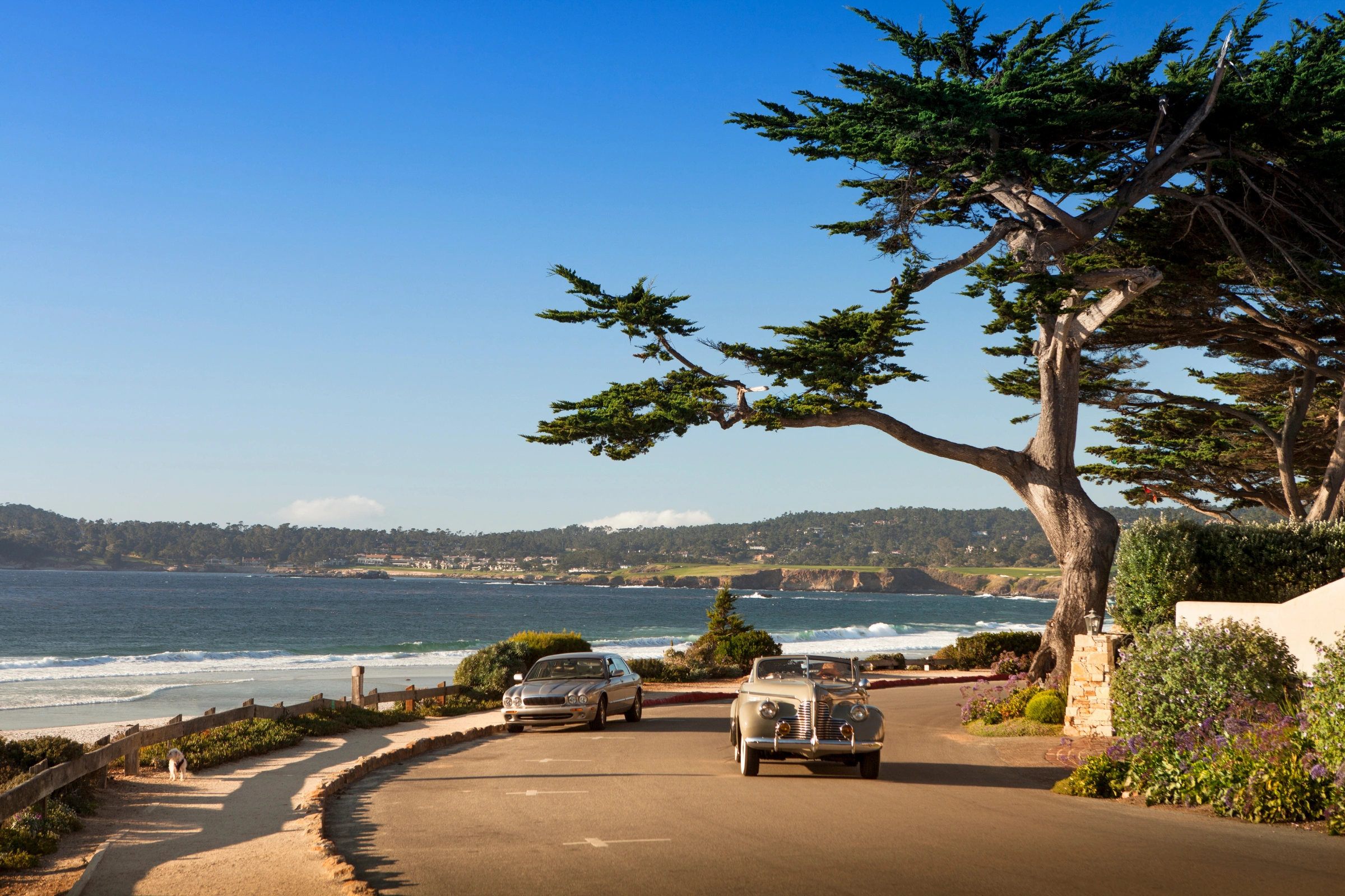Carmel,_California[1].webp